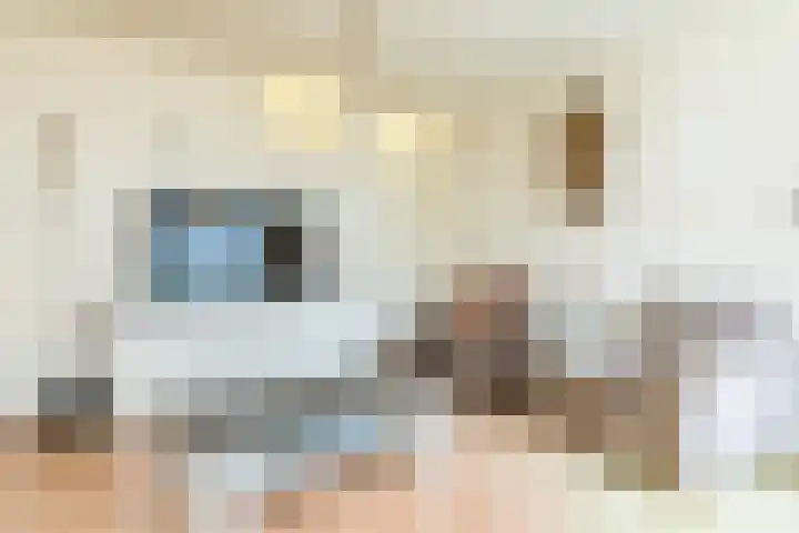 Putweg 12 Hulsberg thumbnail 11