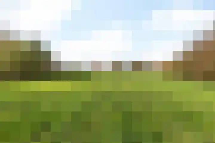 Putweg 12 Hulsberg thumbnail 24