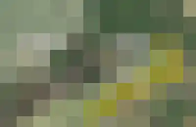 Putweg 12 Hulsberg thumbnail 32