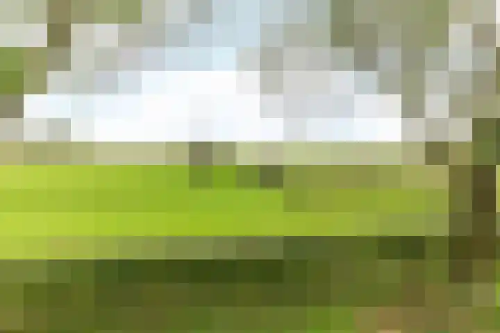 Putweg 12 Hulsberg thumbnail 33