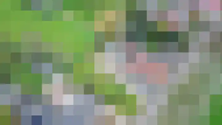 Putweg 12 Hulsberg thumbnail 35