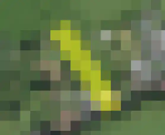 Putweg 12 Hulsberg thumbnail 36
