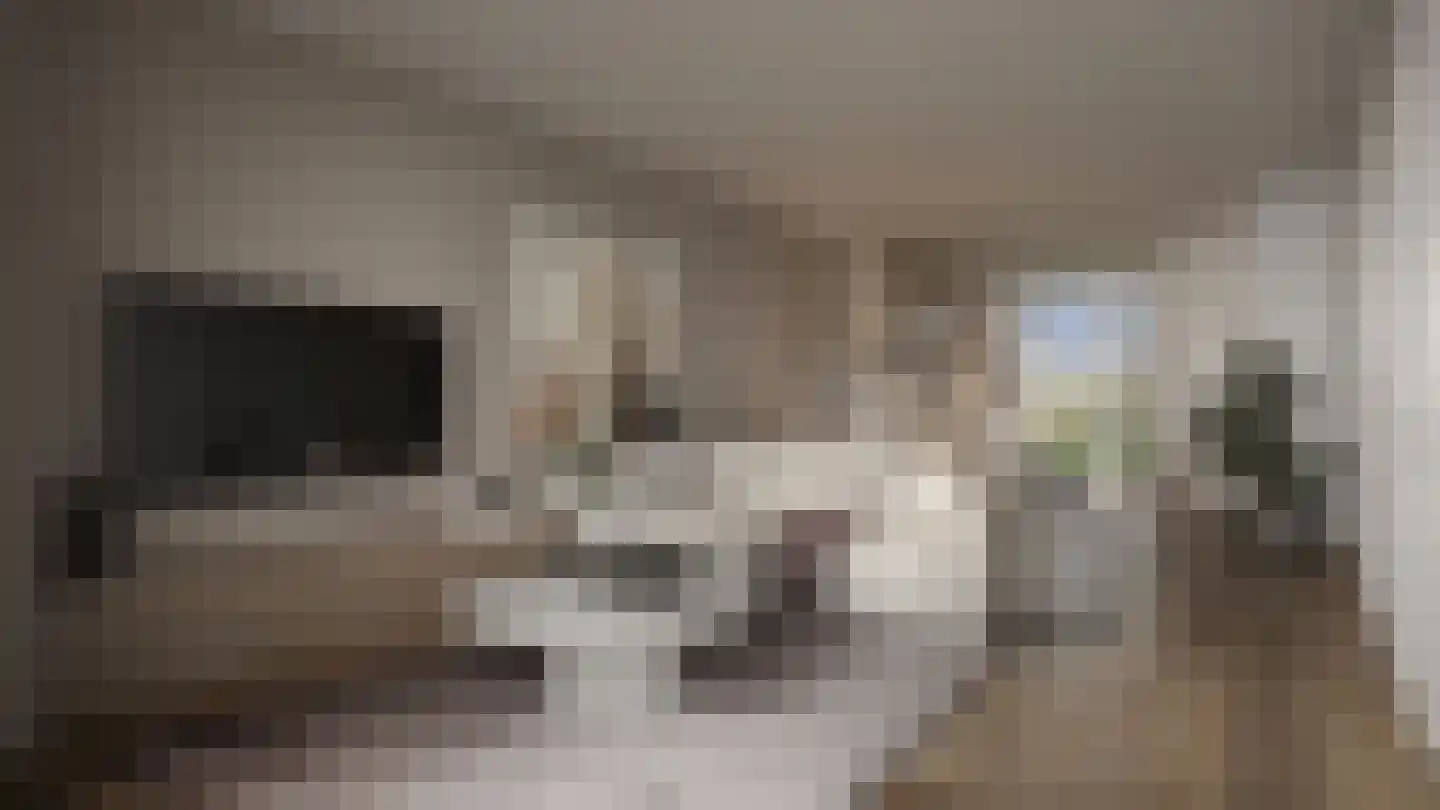 Pykeswegje 27 Goes thumbnail 4