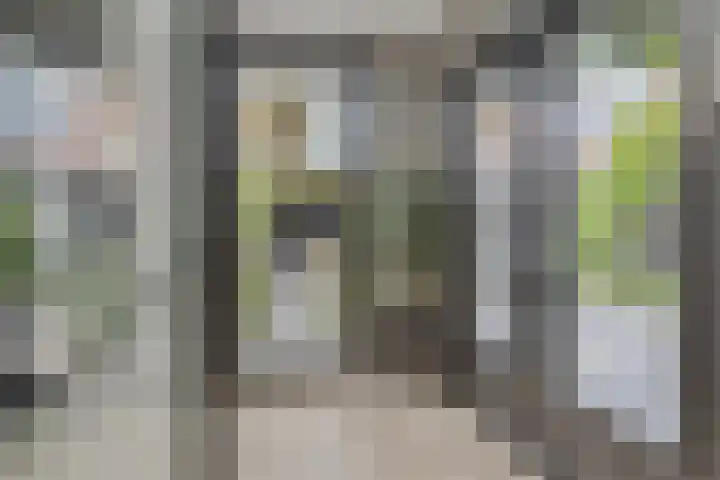 Pykeswegje 86 Goes thumbnail 12