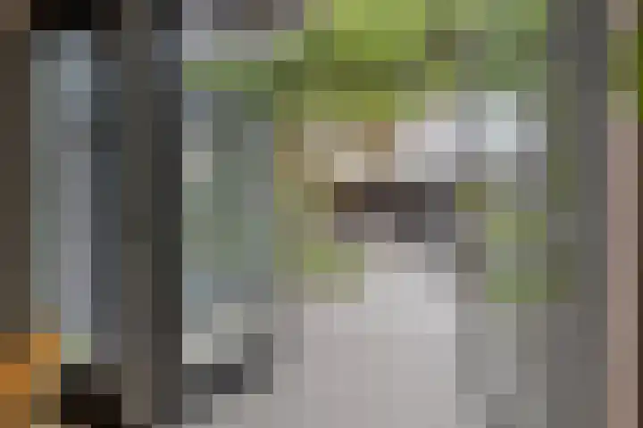 Pykeswegje 86 Goes thumbnail 14