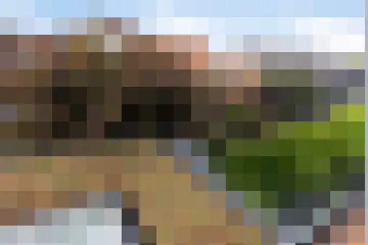 Pykeswegje 86 Goes thumbnail 21