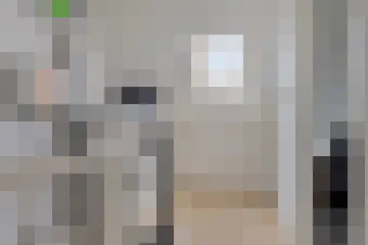 Pykeswegje 86 Goes thumbnail 23