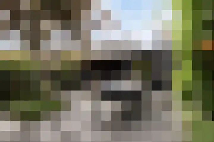 Pykeswegje 86 Goes thumbnail 26