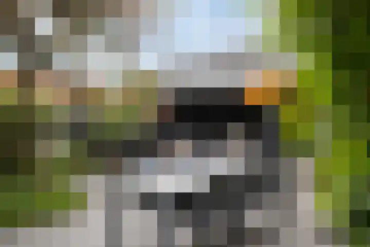 Pykeswegje 86 Goes thumbnail 30