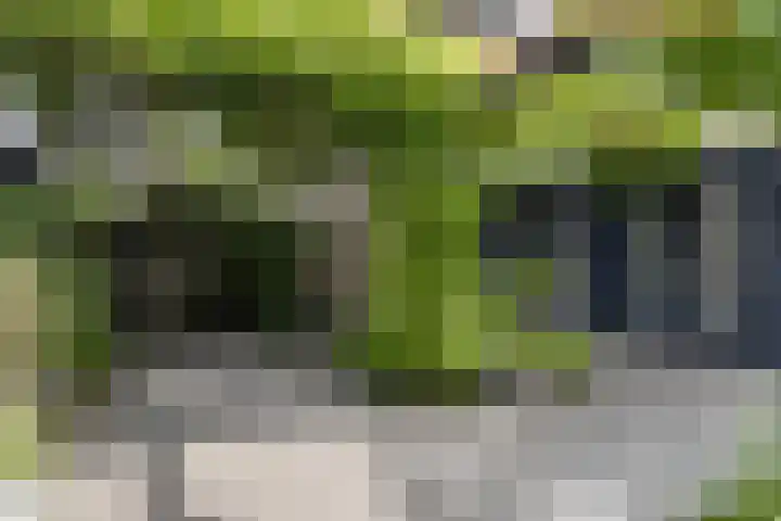 Pykeswegje 86 Goes thumbnail 31