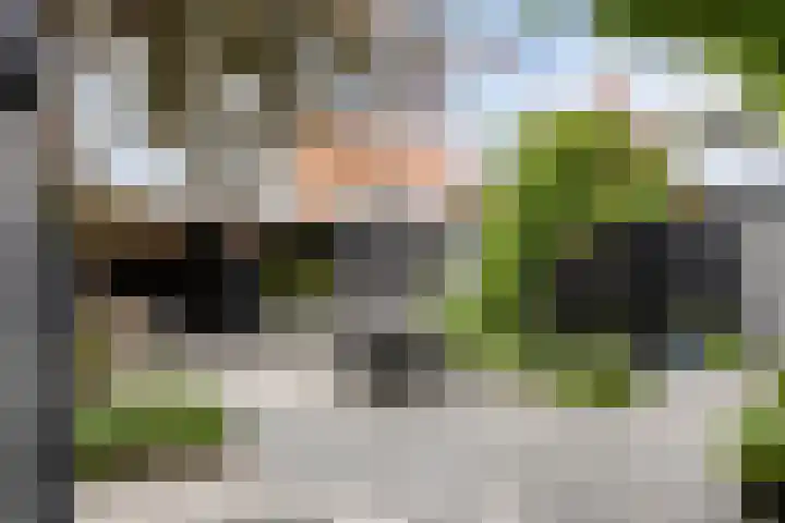 Pykeswegje 86 Goes thumbnail 33