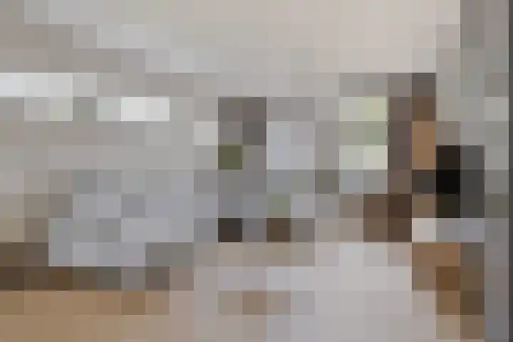 Pykeswegje 86 Goes thumbnail 6