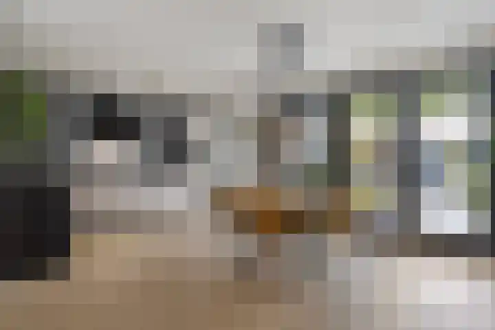 Pykeswegje 86 Goes thumbnail 8