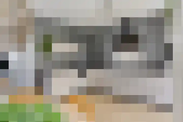 Pykeswegje 86 Goes thumbnail 9