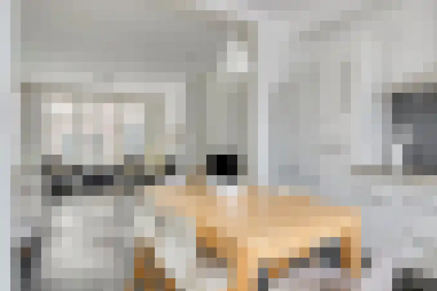 Pyntorenstraat 13 Goes thumbnail 13