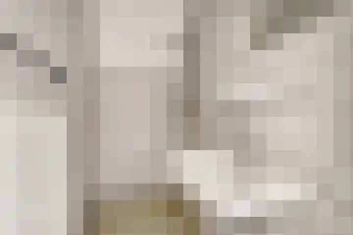 Pyntorenstraat 3 Goes thumbnail 17