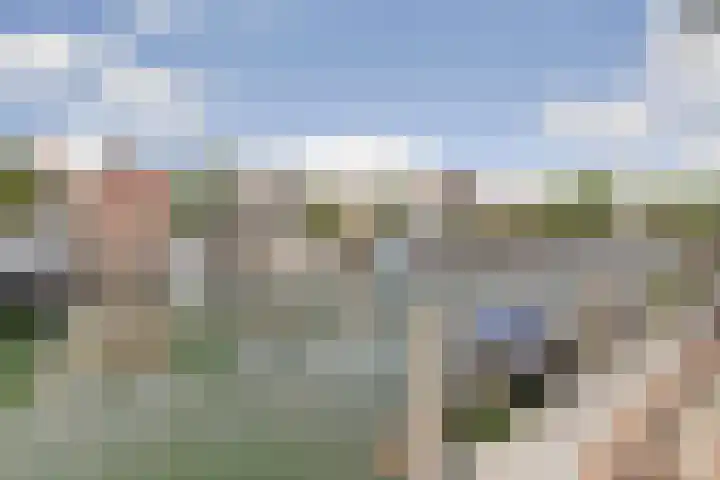 Pyntorenstraat 3 Goes thumbnail 20