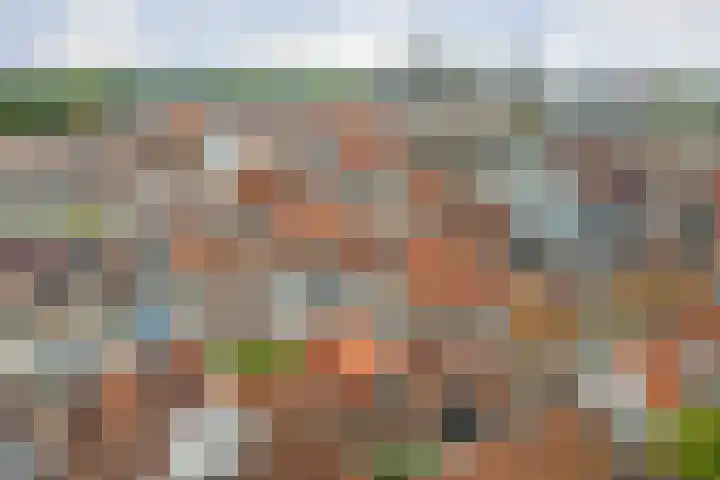 Pyntorenstraat 3 Goes thumbnail 24