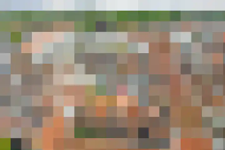 Pyntorenstraat 3 Goes thumbnail 26