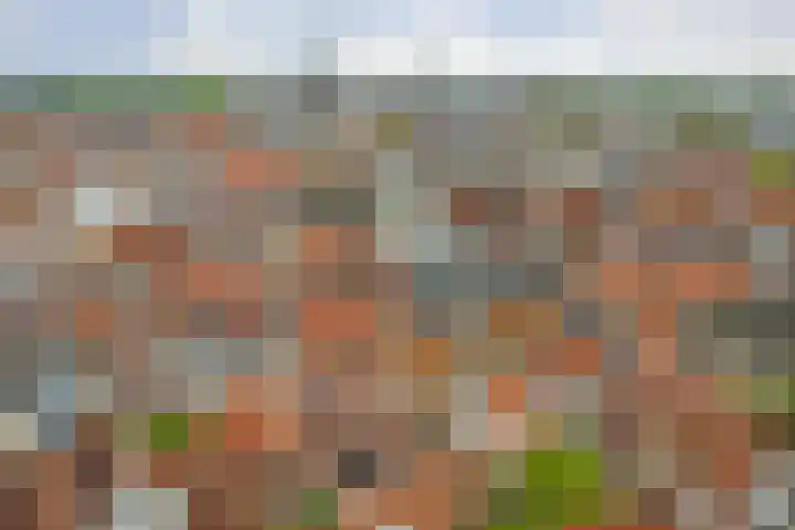 Pyntorenstraat 3 Goes thumbnail 29