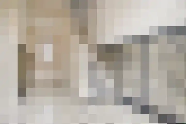 Pyntorenstraat 3 Goes thumbnail 4