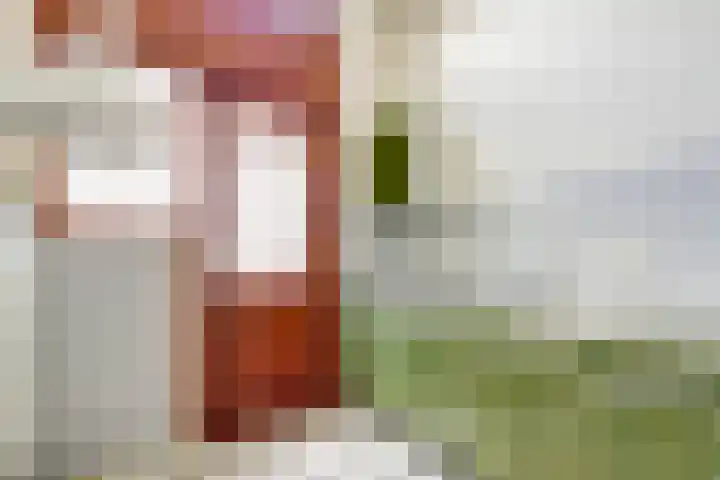 Pyntorenstraat 3 Goes thumbnail 8