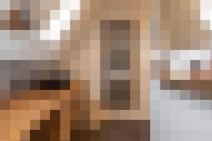 Pypsterstikke 5 Balk thumbnail 18