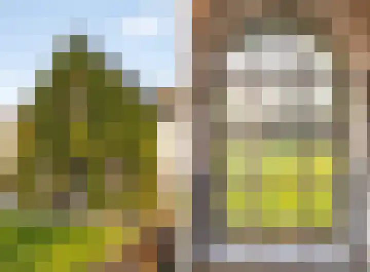 Pypsterstikke 5 Balk thumbnail 36