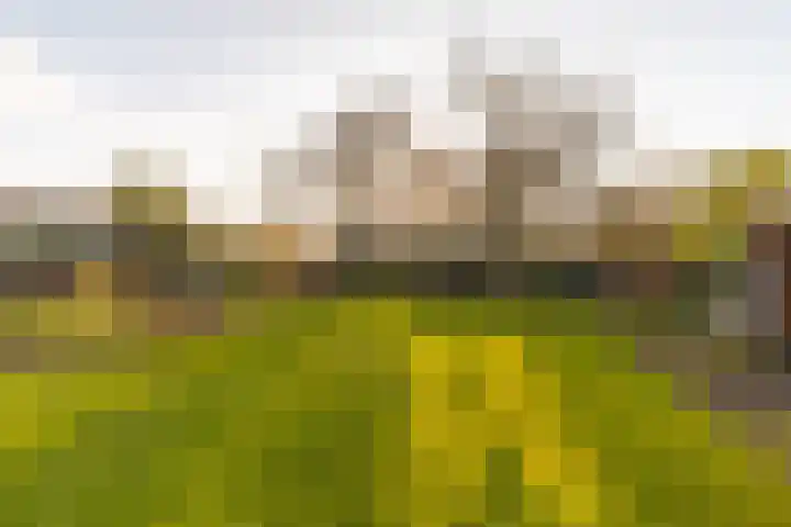 Pypsterstikke 5 Balk thumbnail 39