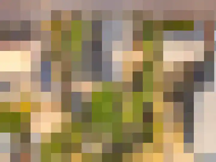 Pypsterstikke 5 Balk thumbnail 4