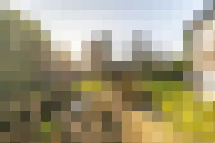 Pypsterstikke 5 Balk thumbnail 40