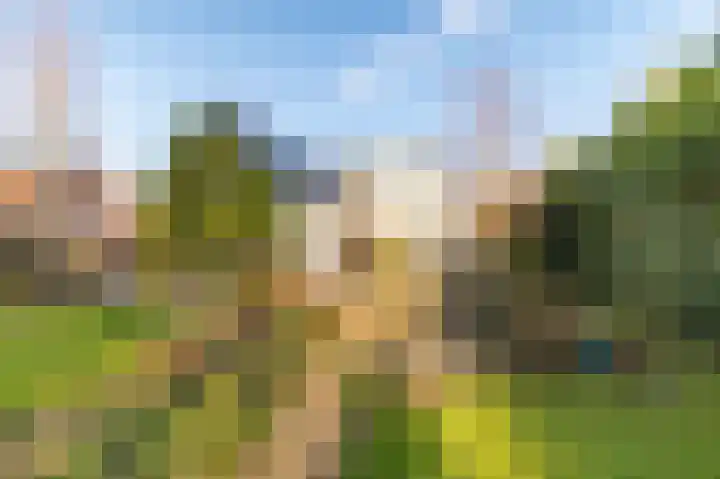 Pypsterstikke 5 Balk thumbnail 42