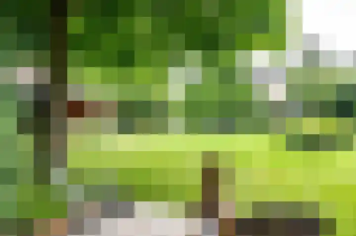 Pypsterstikke 5 Balk thumbnail 46