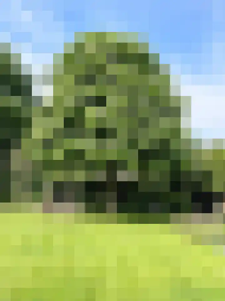 Pypsterstikke 5 Balk thumbnail 47