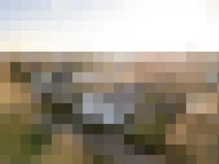 Pypsterstikke 5 Balk thumbnail 5