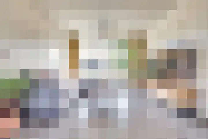 Quackelaer 59 Eersel thumbnail 13