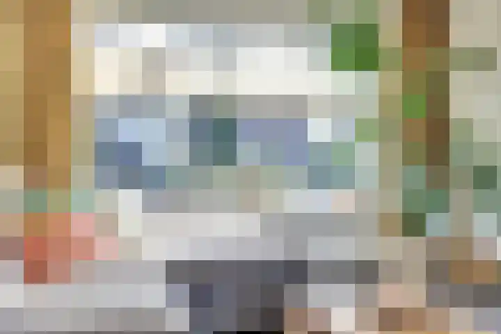 Quackelaer 59 Eersel thumbnail 14