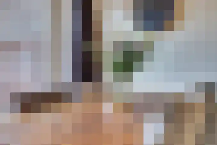 Quackelaer 59 Eersel thumbnail 18