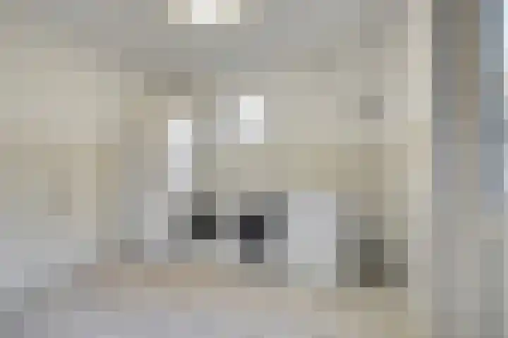 Quackelaer 59 Eersel thumbnail 22