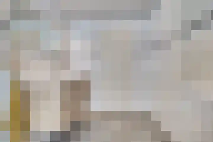 Quackelaer 59 Eersel thumbnail 35
