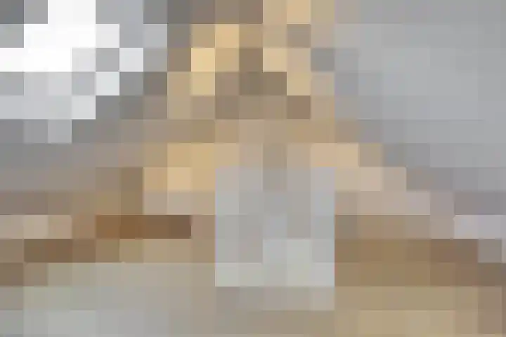 Quackelaer 59 Eersel thumbnail 38