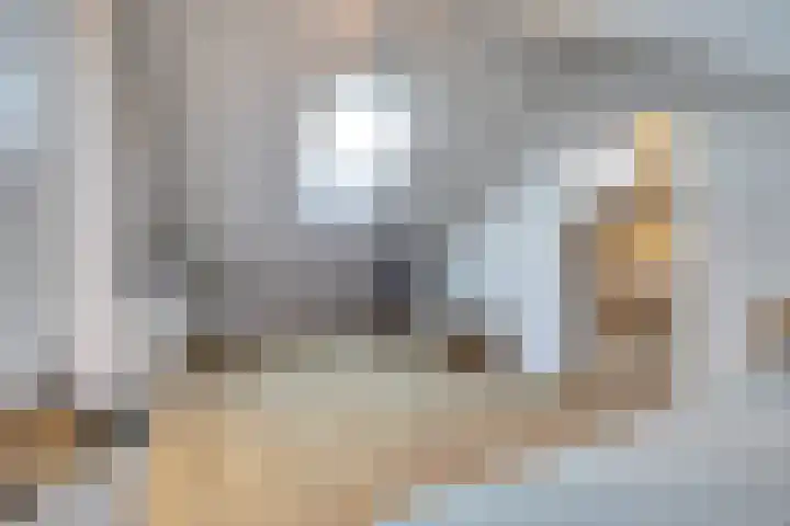 Quackelaer 59 Eersel thumbnail 39