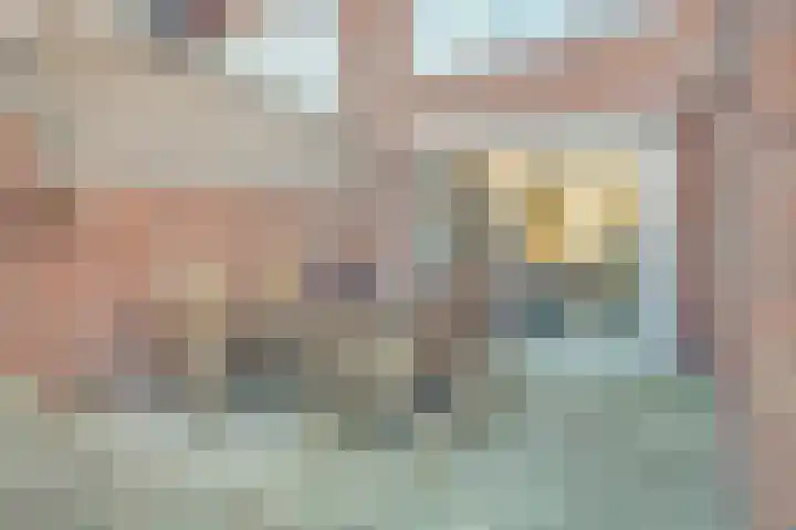 Quackelaer 59 Eersel thumbnail 44