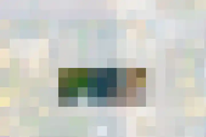 Quackelaer 59 Eersel thumbnail 47