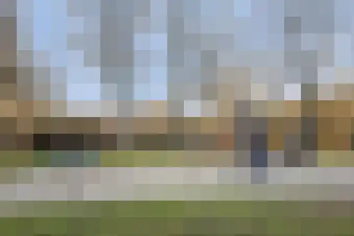 Quackelaer 59 Eersel thumbnail 50