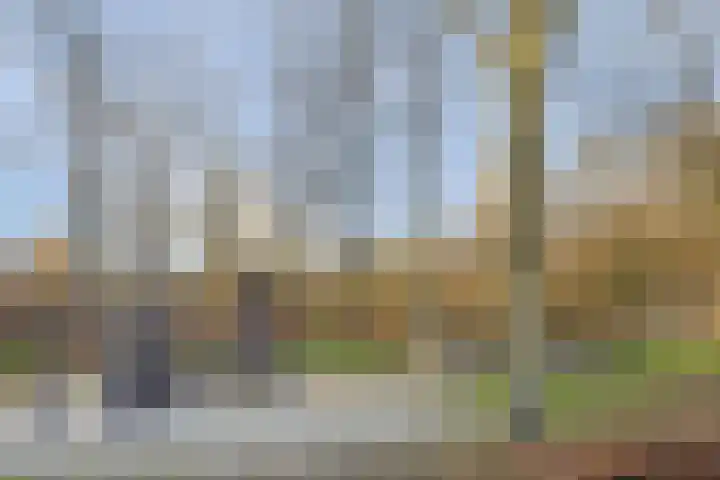 Quackelaer 59 Eersel thumbnail 51