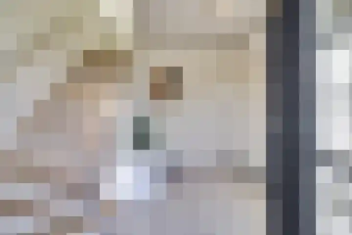 Quackelaer 59 Eersel thumbnail 6