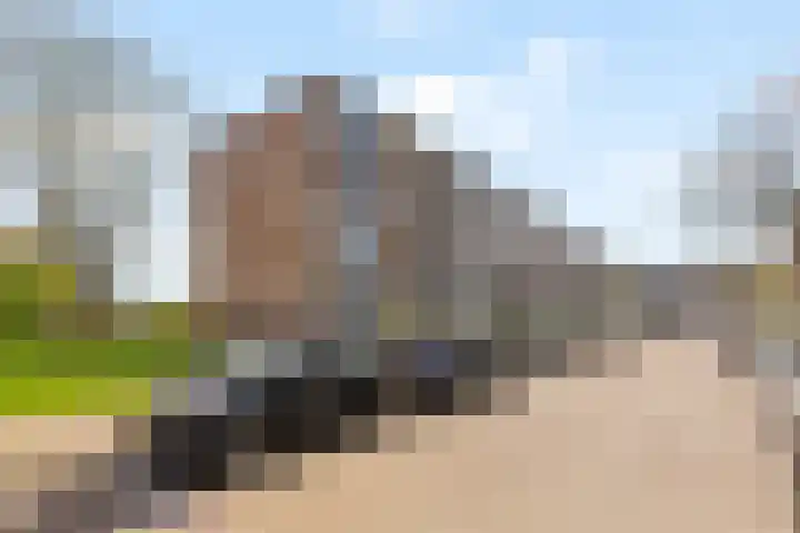Quadenoord 162 Rotterdam thumbnail 24