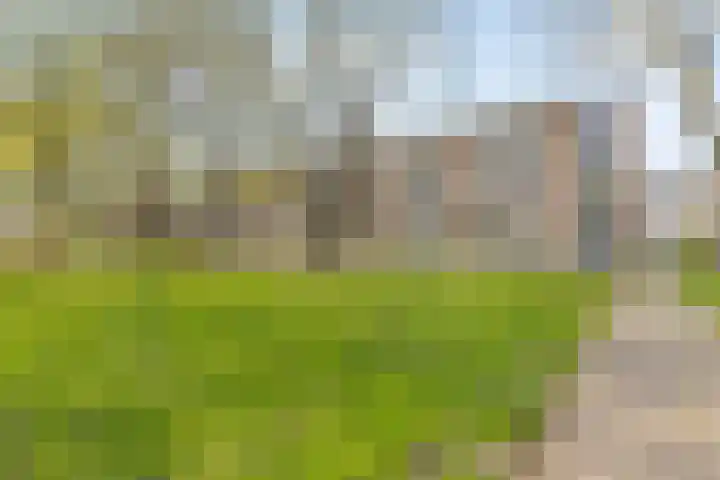 Quadenoord 162 Rotterdam thumbnail 25