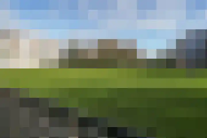 Quadenoord 26 Rotterdam thumbnail 22